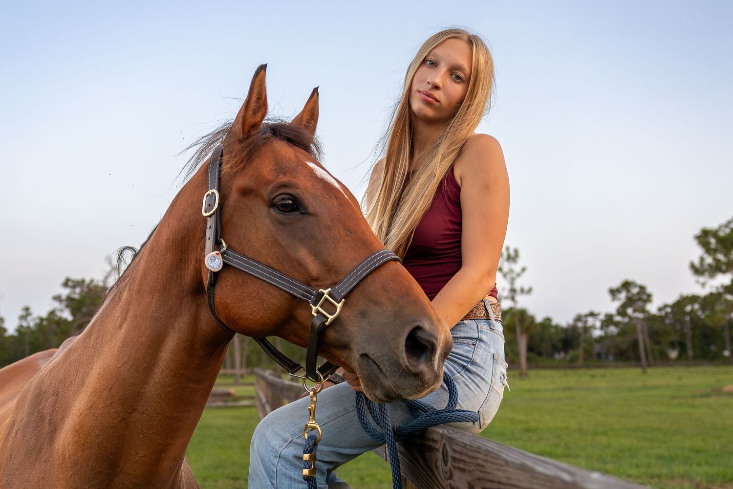 Young blonde woman in red top and jeans sits on fence beside a chestnut horse with bridle outdoors. Senior photo session.