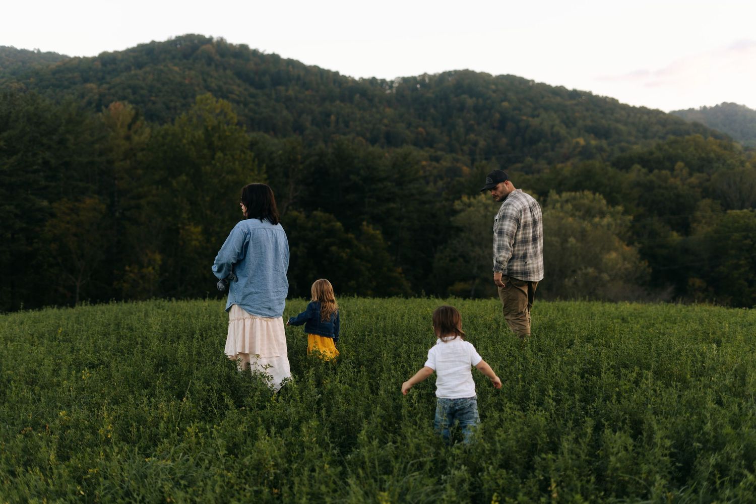 A family of four walks through a lush green field with forested mountains in the background.