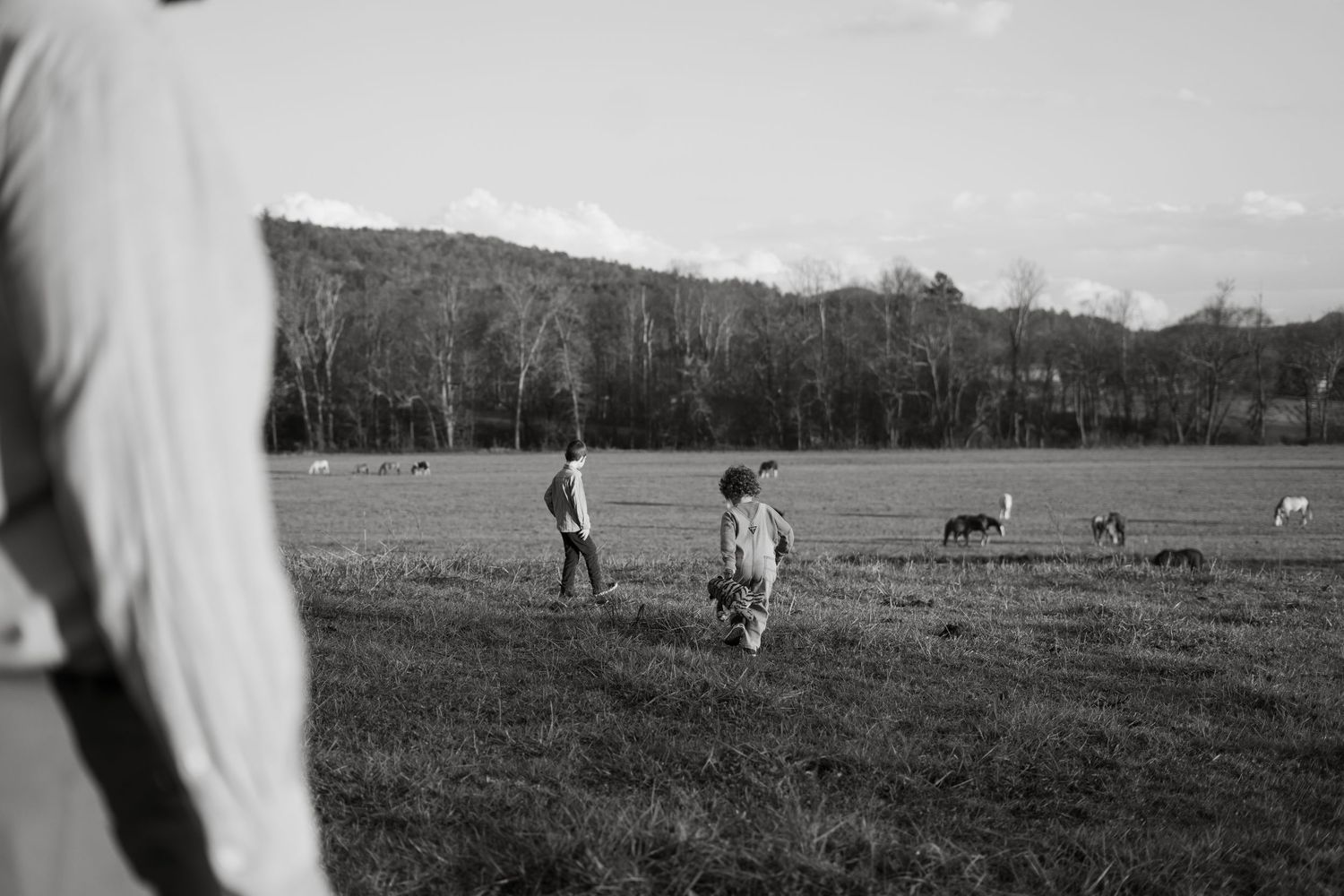 Black and white photo of children playing in an open field with grazing animals and wooded hills.