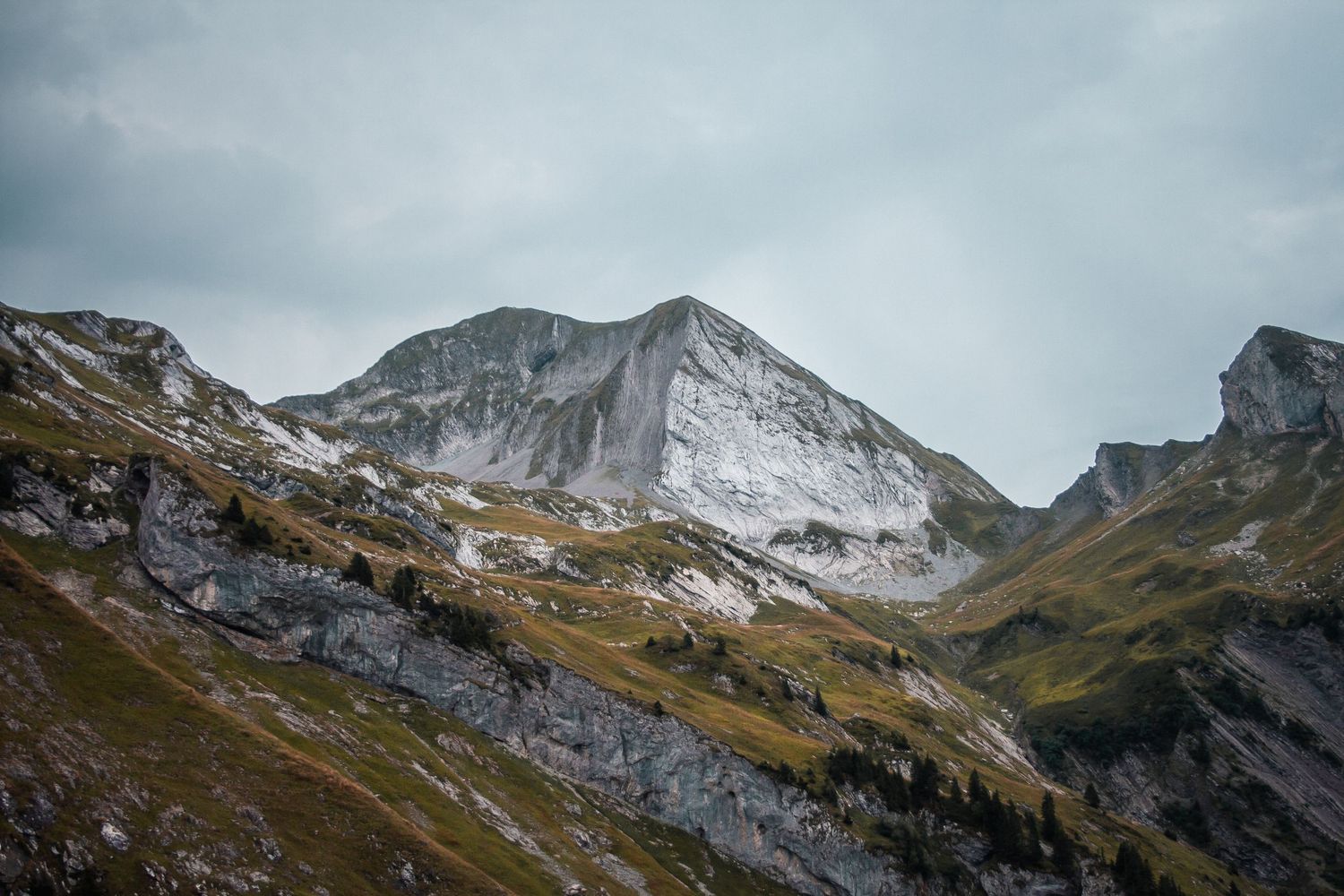 photo by Theotime de Capele