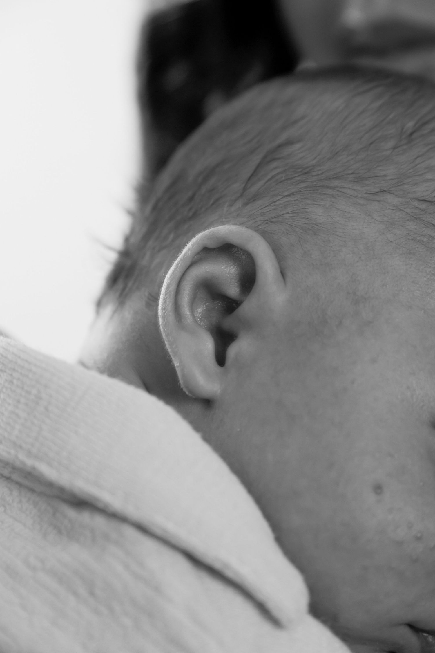 Black and white close-up photo of a newborn baby's ear and head resting on a white blanket. Newborn photoshoot.