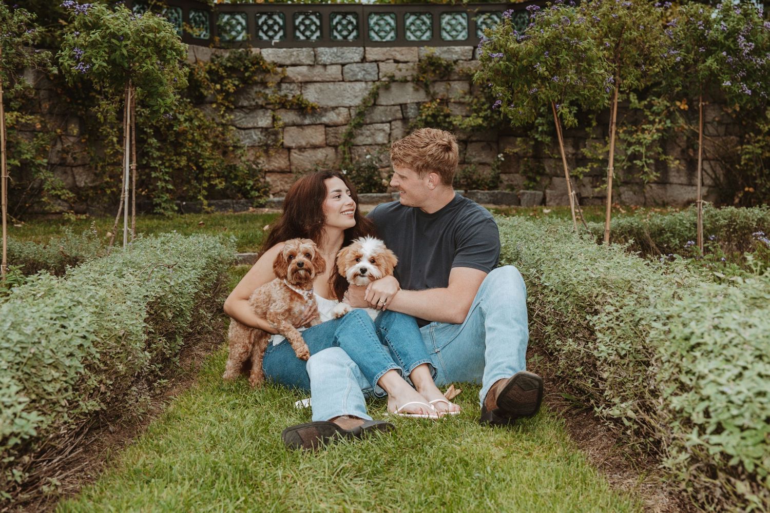 A smiling couple sits on a grassy garden path holding two small fluffy puppies, with leafy hedges and a stone wall behind them.
