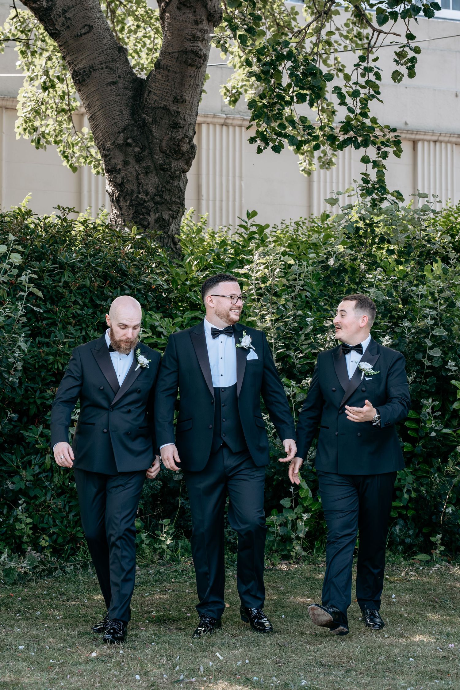 Three groomsmen in black tuxedos with boutonnieres walk and laugh together outdoors near lush greenery.