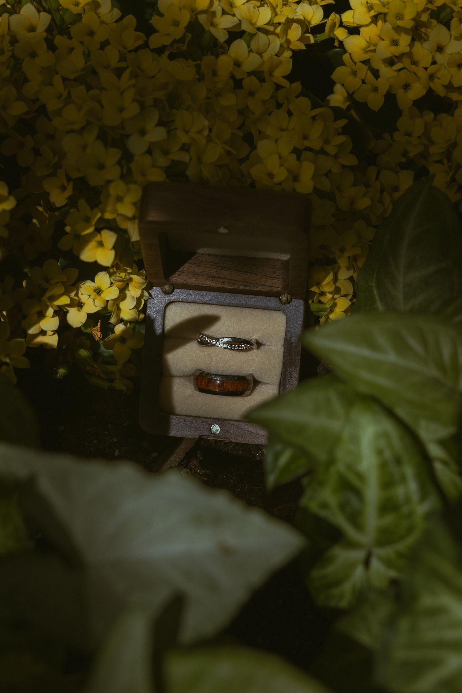 Two wedding bands displayed in a wooden ring box surrounded by yellow flowers and green leaves.