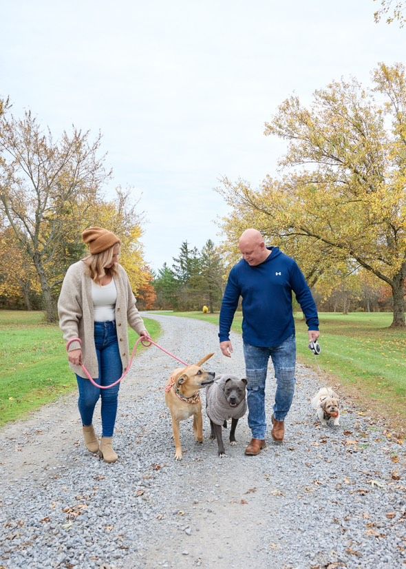 Two people walking three dogs together on a gravel path surrounded by autumn trees on a crisp fall day.