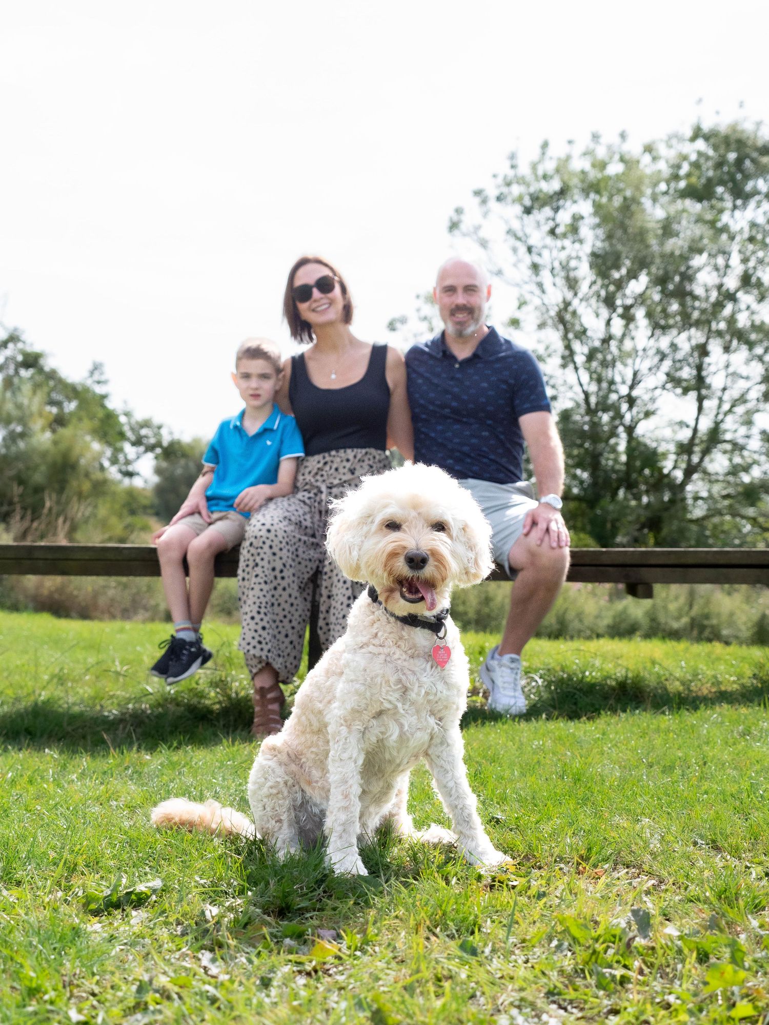 wedding photographer
nottingham photographer
derby photographer
dog photographer
equine photographer