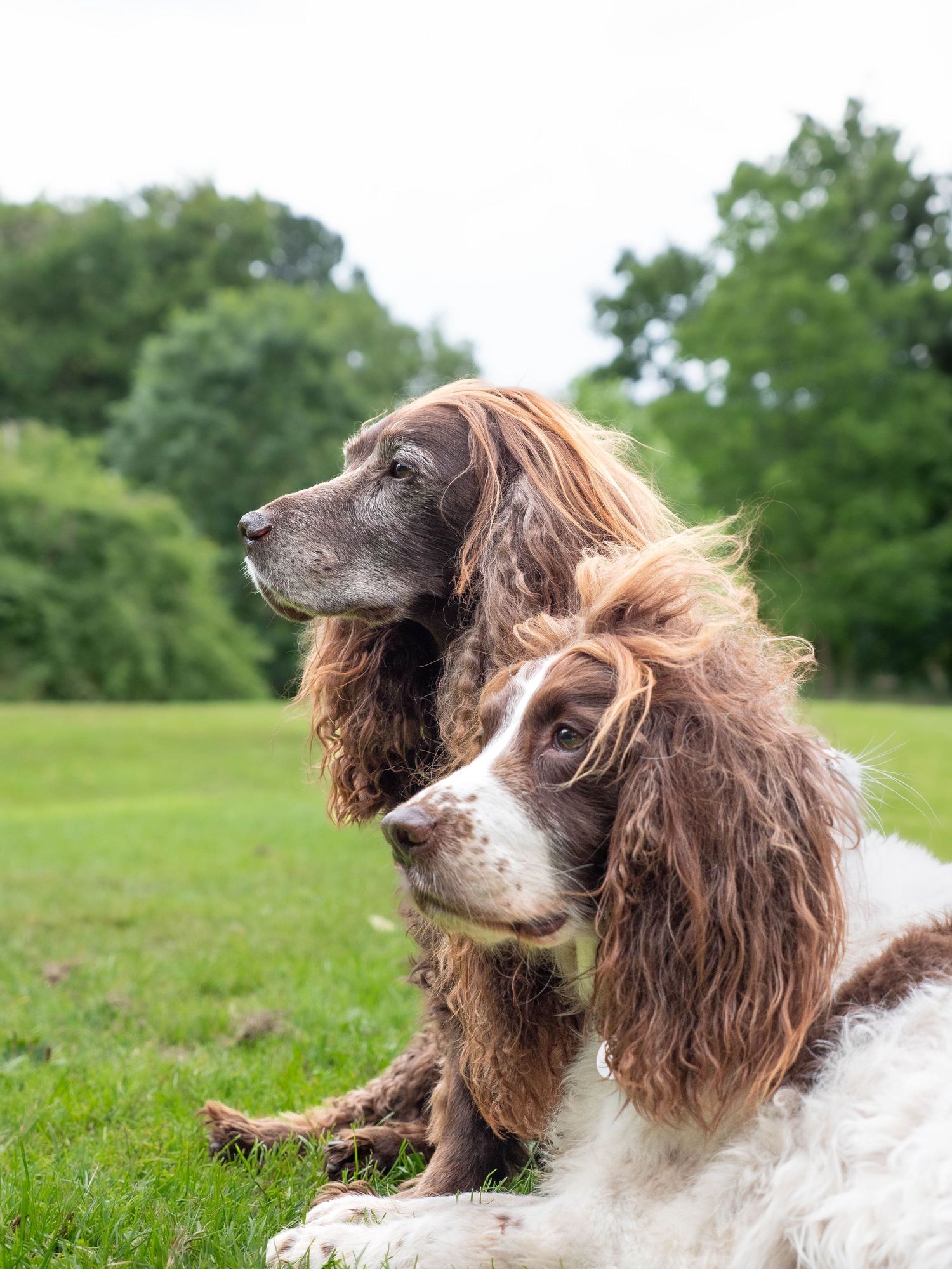 wedding photographer
nottingham photographer
derby photographer
dog photographer
equine photographer