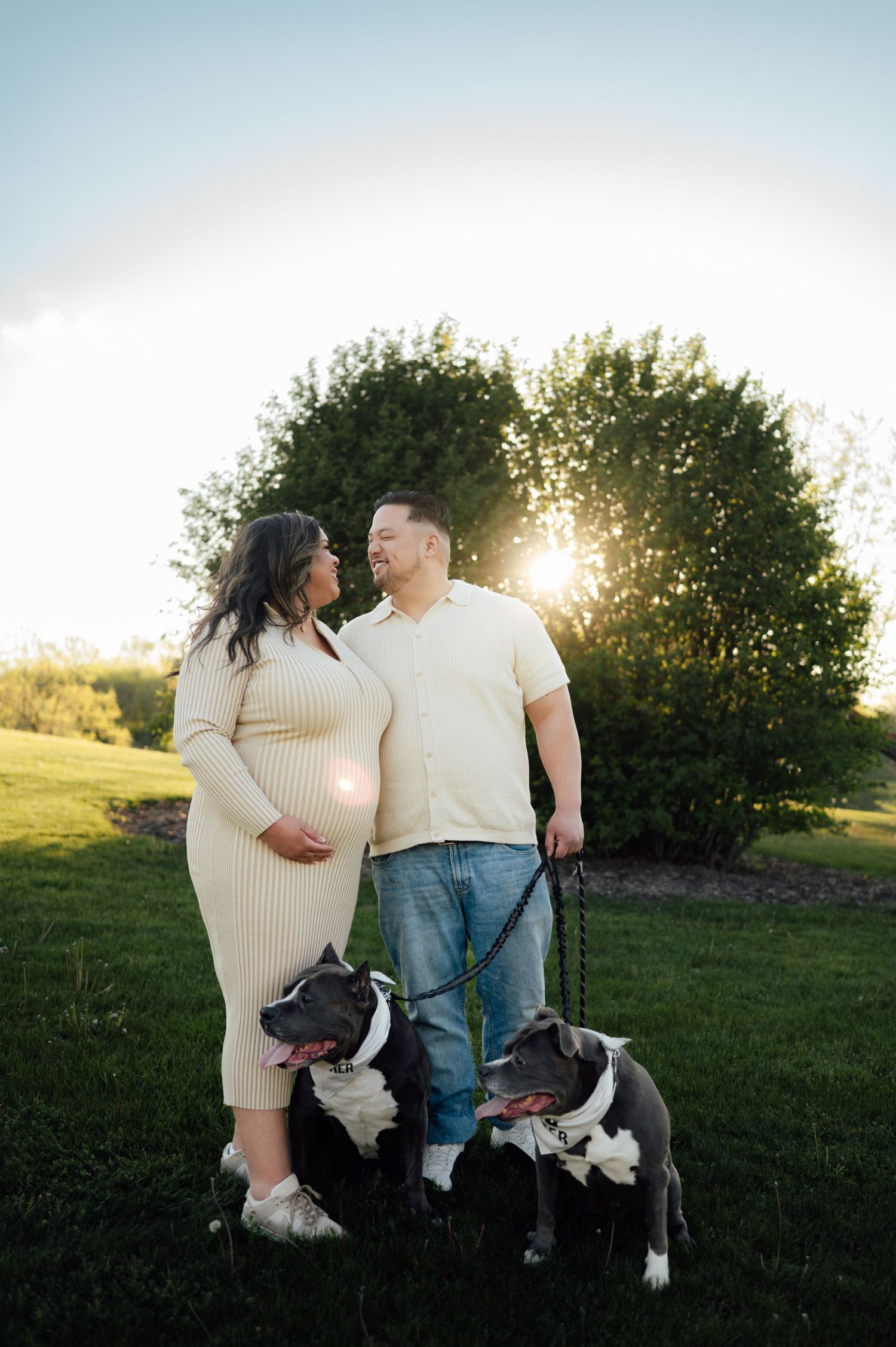 Expecting couple standing with two pit bulls at golden hour in a lush green park.