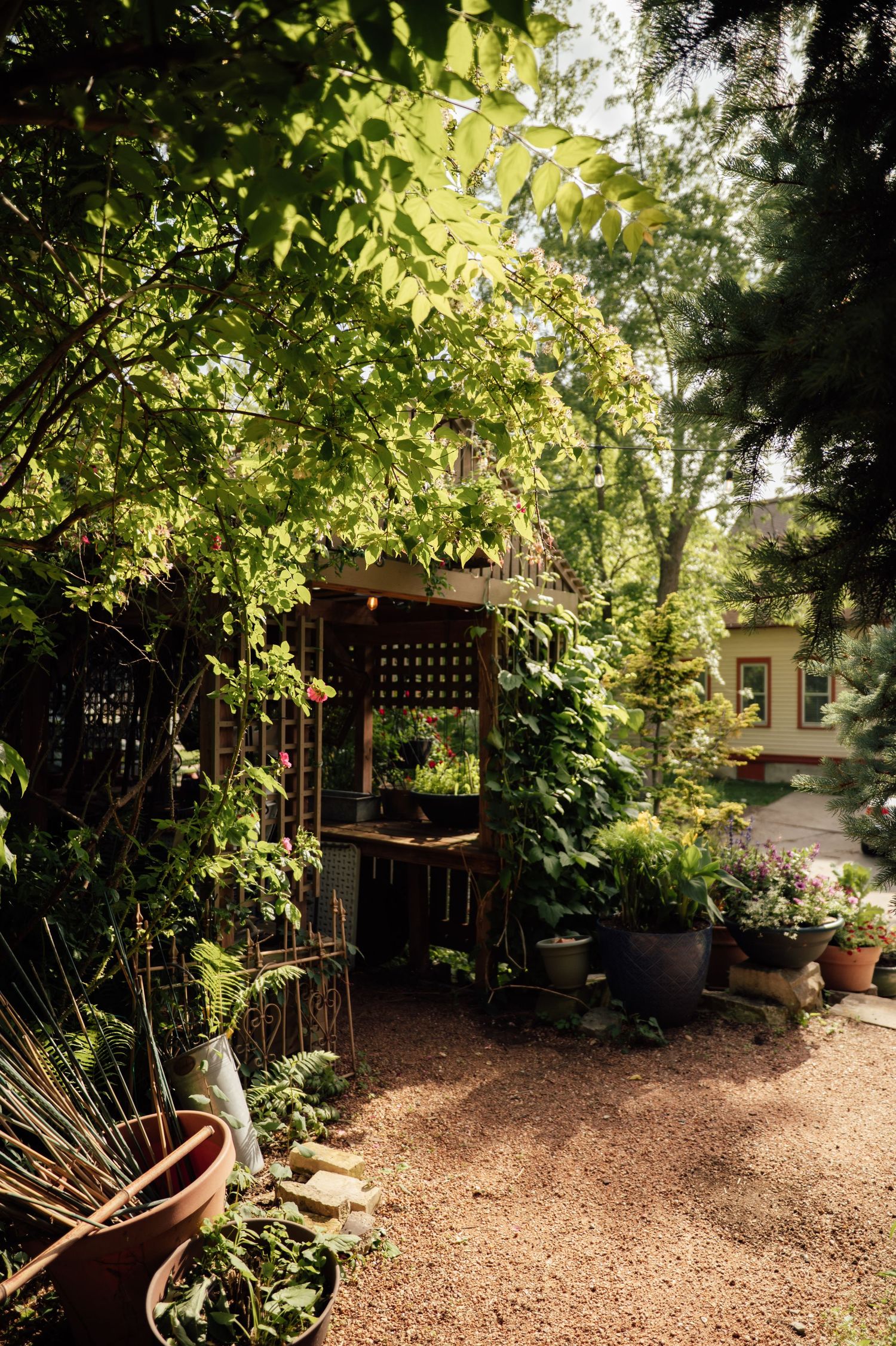 A lush garden pathway with climbing vines over a wooden arbor, surrounded by potted plants and greenery in dappled sunlight.