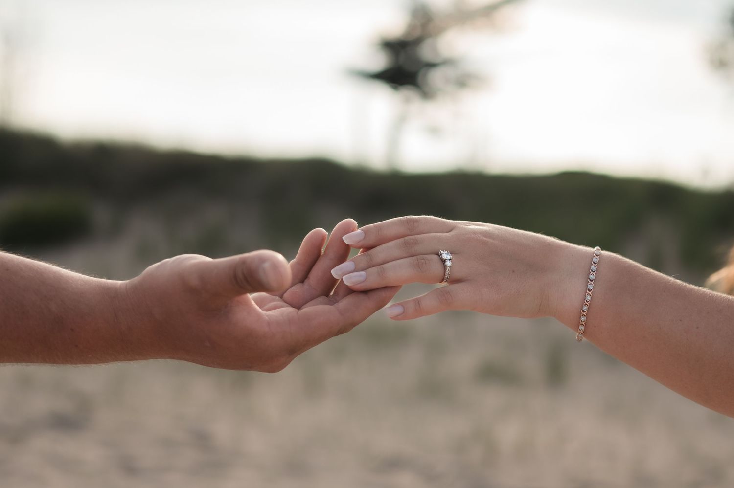 Hands reach out and hold each other in a row to show collaboration and unity in natural lighting.