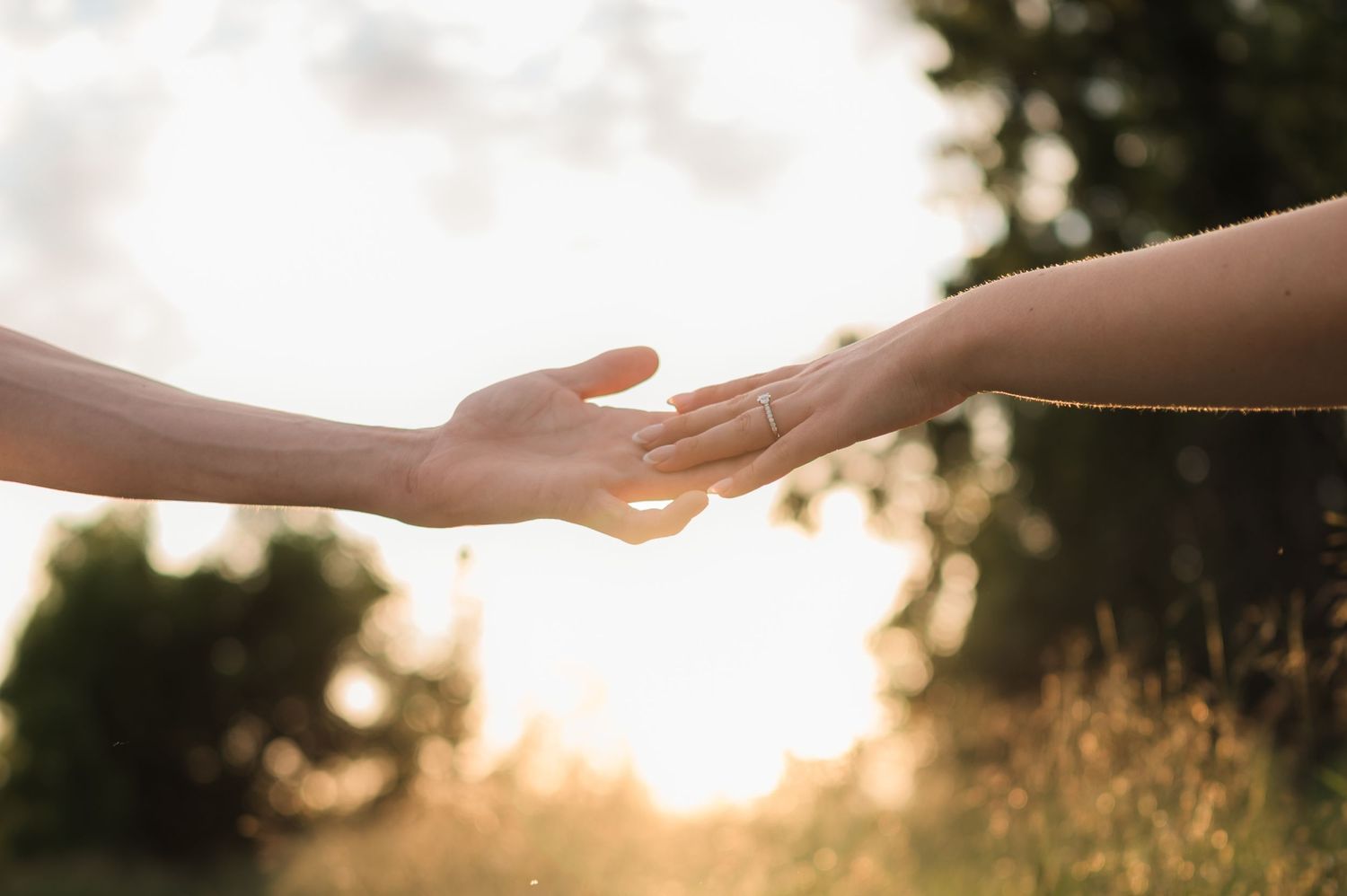 Two hands reaching toward each other with golden sunset light glowing through trees in the background.