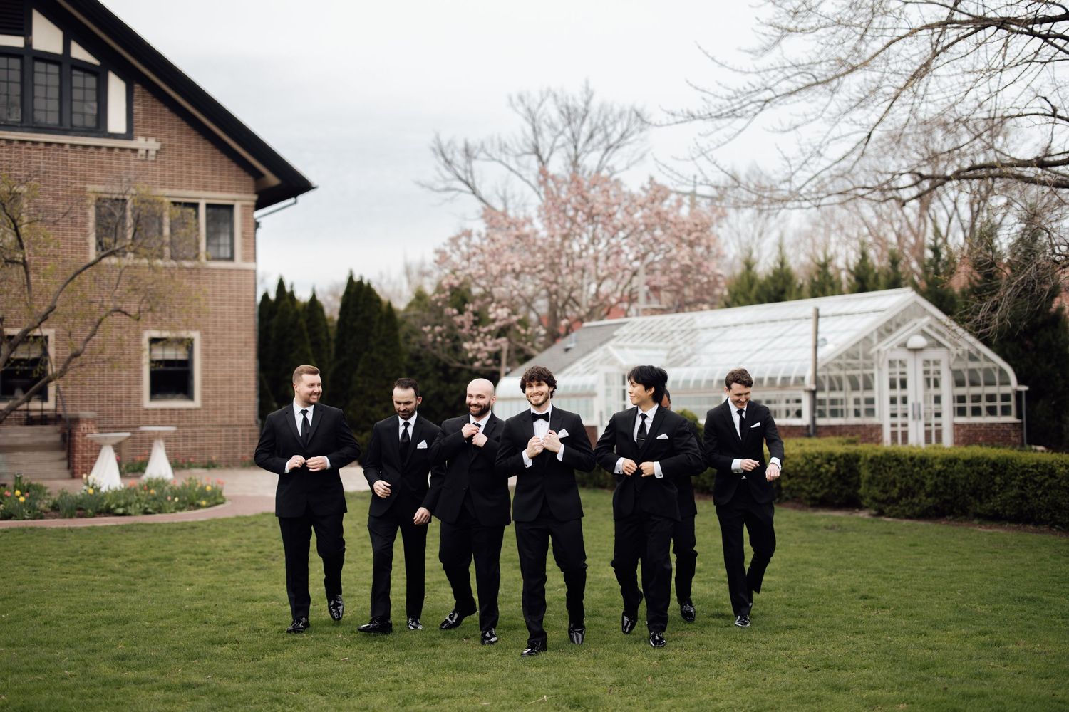 Groom and groomsmen in black suits walking outdoors on green lawn near brick building with cherry blossoms in background.