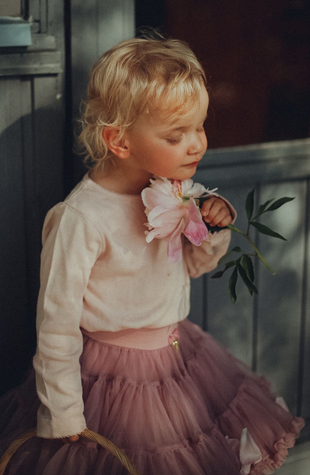 Pieni lapsi kukka kädessä, herkkä hetki ja lämmin, luonnollinen valo
