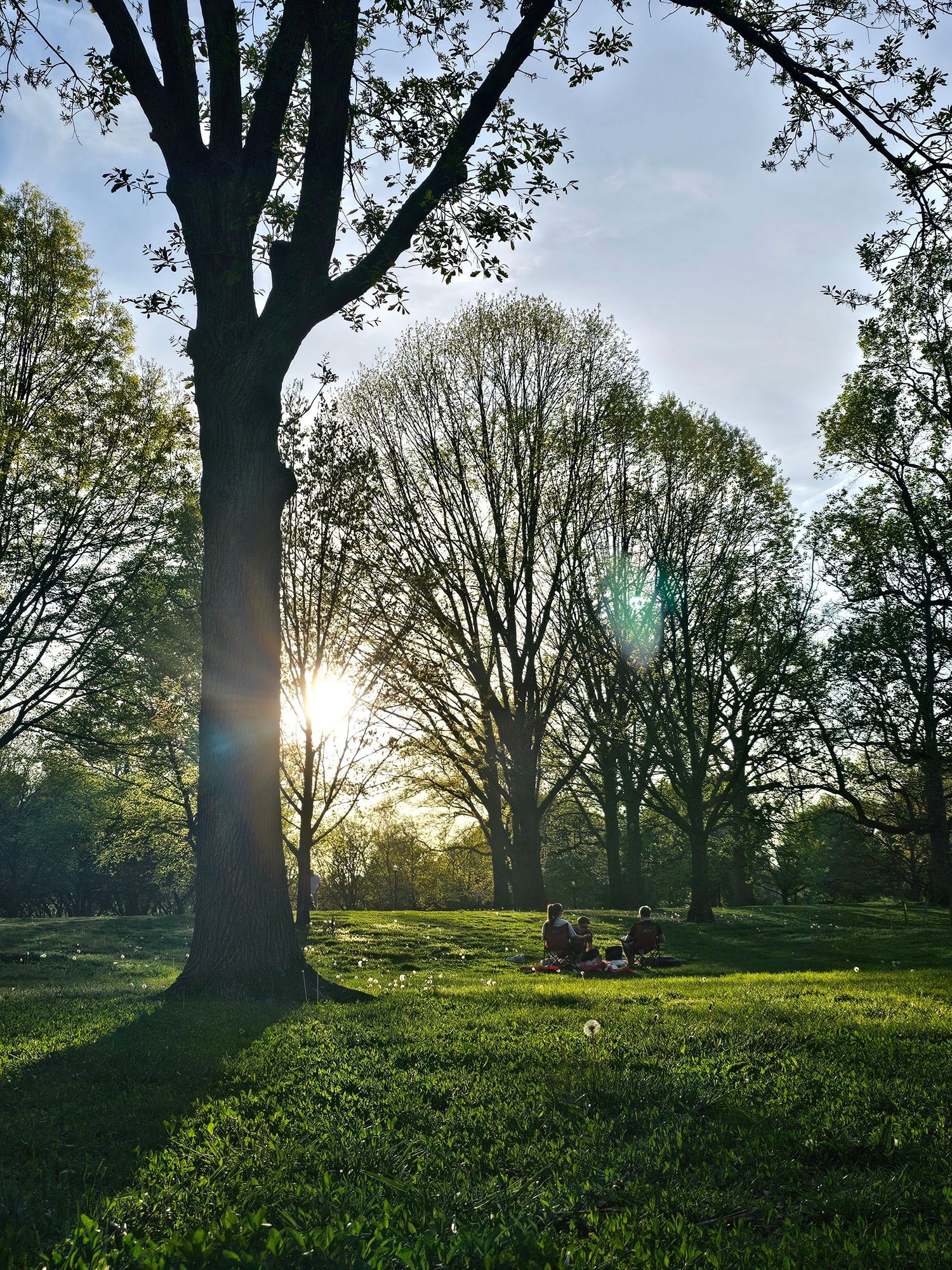 Sunlight filtering through mature trees during a portrait session at Goodale Park Columbus Ohio