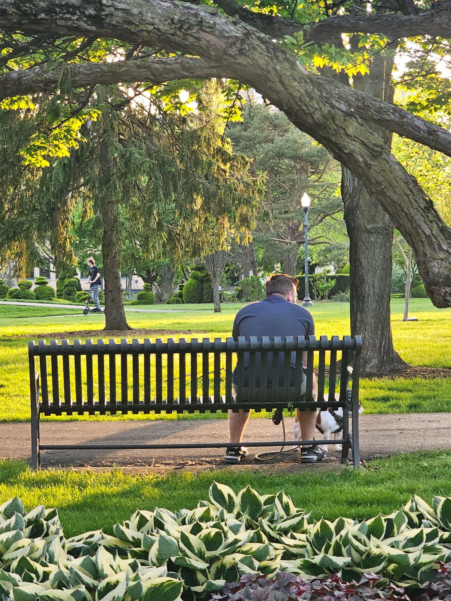 Relaxing on a park bench under the trees at The Topiary Park in Columbus Ohio