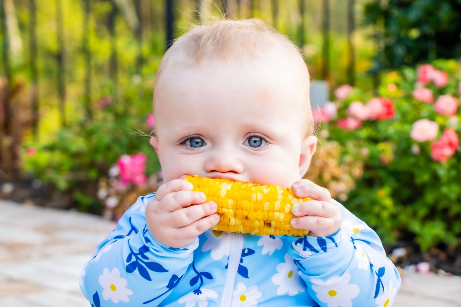 A baby wearing a swim suit and eating a bright yellow piece of corn.