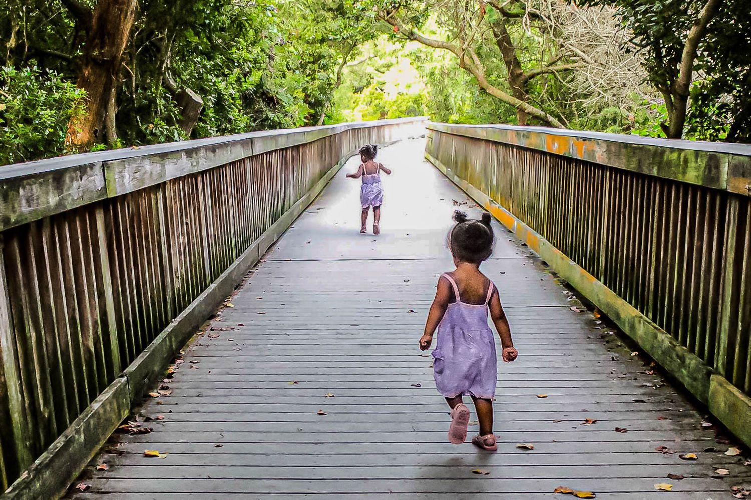 Two young girls in purple dresses walking across a wooden bridge surrounded by lush green trees.