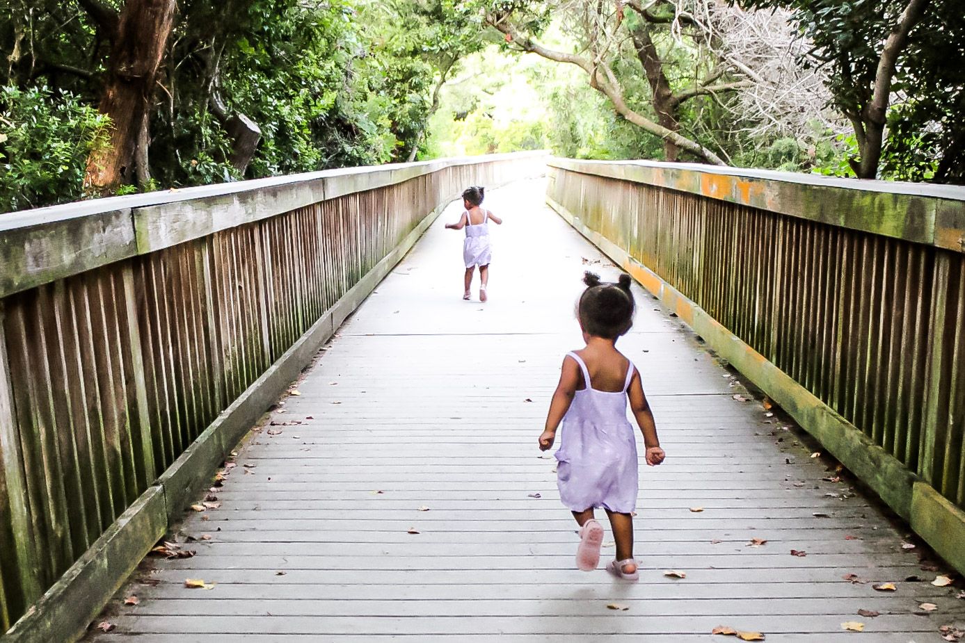 Two children running on a boardwalk under beautiful trees, running towards the beach,