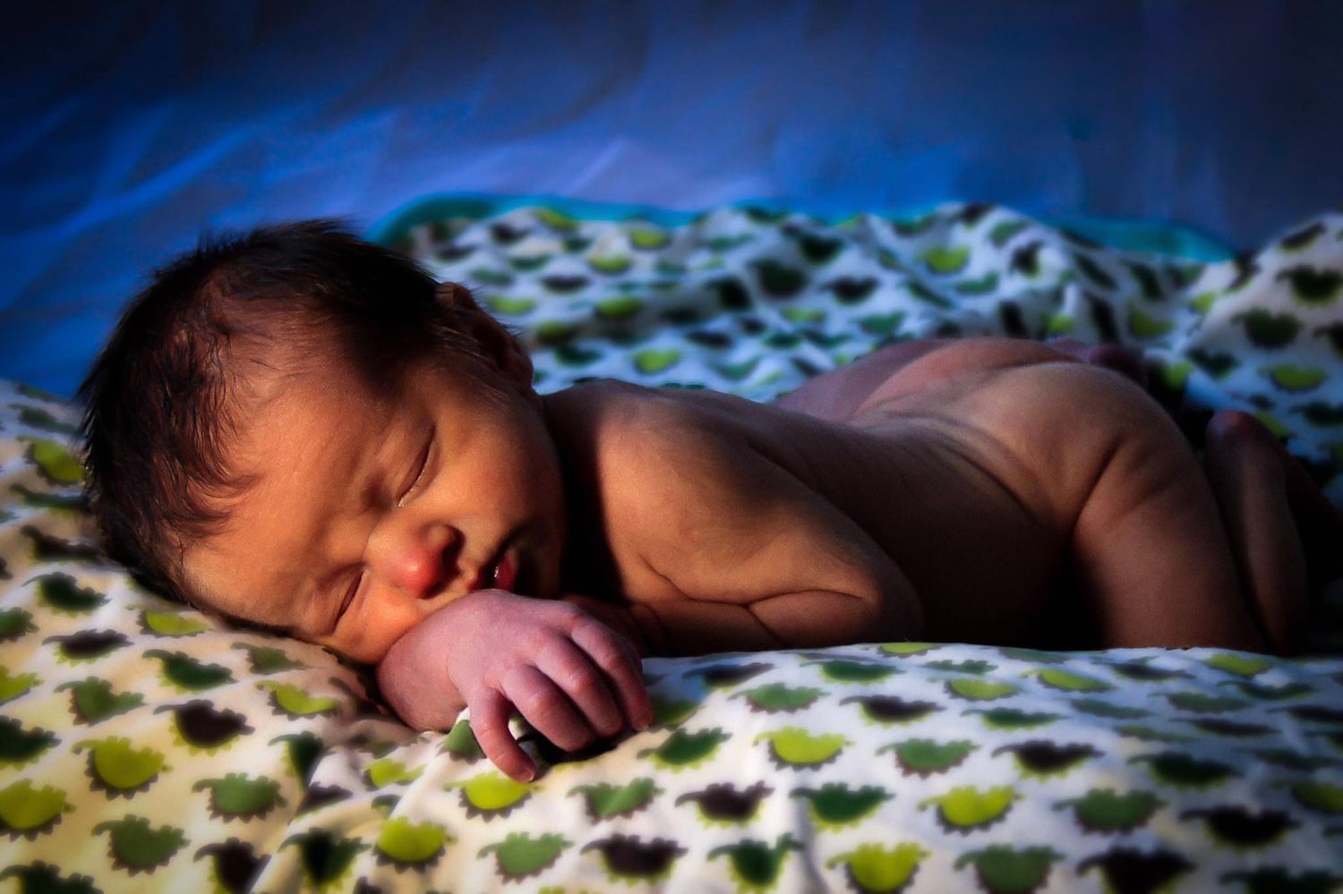 A newborn child sleeping on a dinosaur blanket during a newborn shoot.