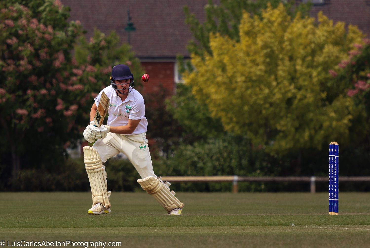 Professional sports photography by Luis Carlos Abellan: a batsman reacting to a delivery on a cricket ground in Kent.