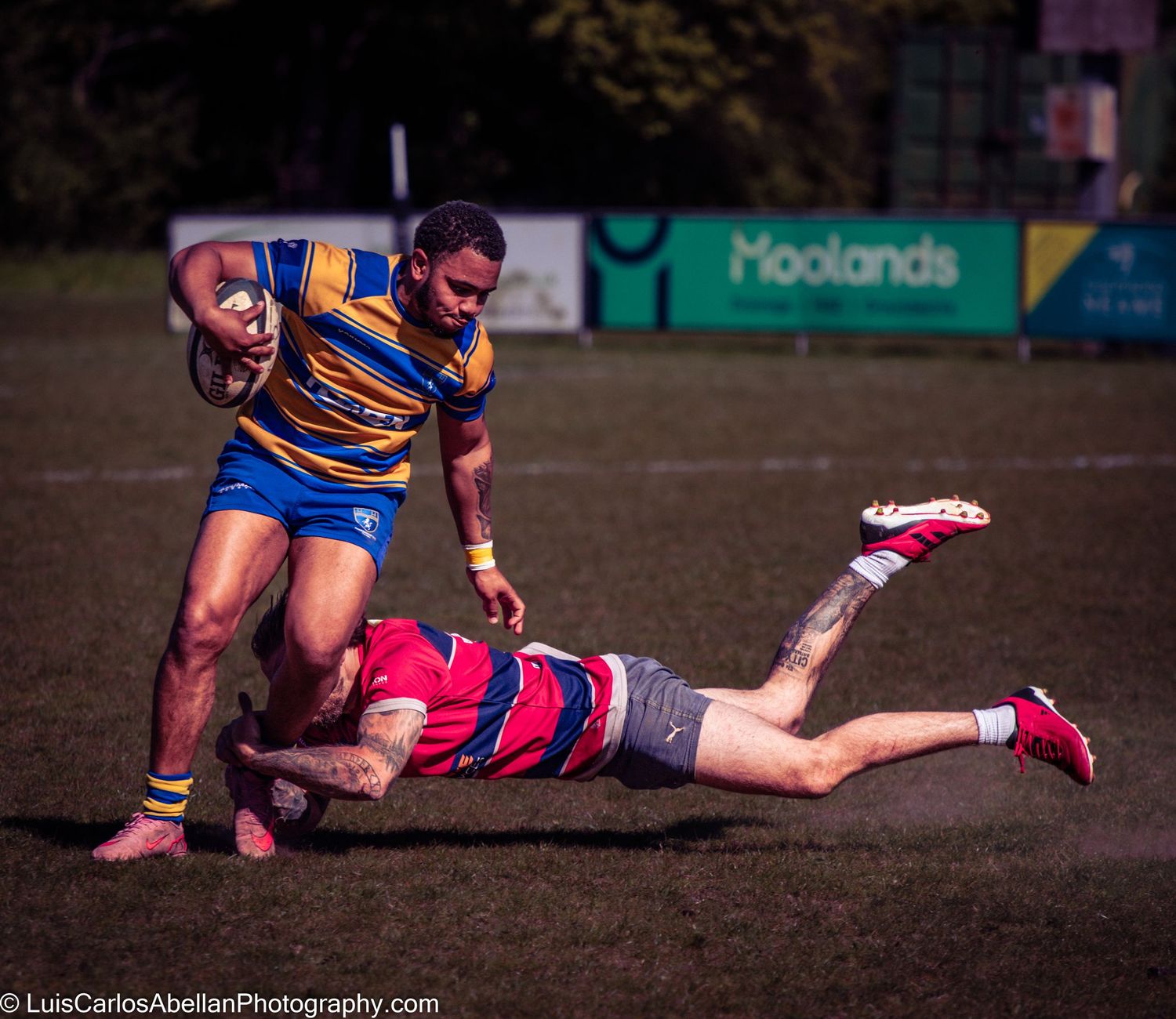 A rugby player in blue and yellow evades a diving tackle during a competitive match in the South East, by Luis Carlos Abellan Photography.