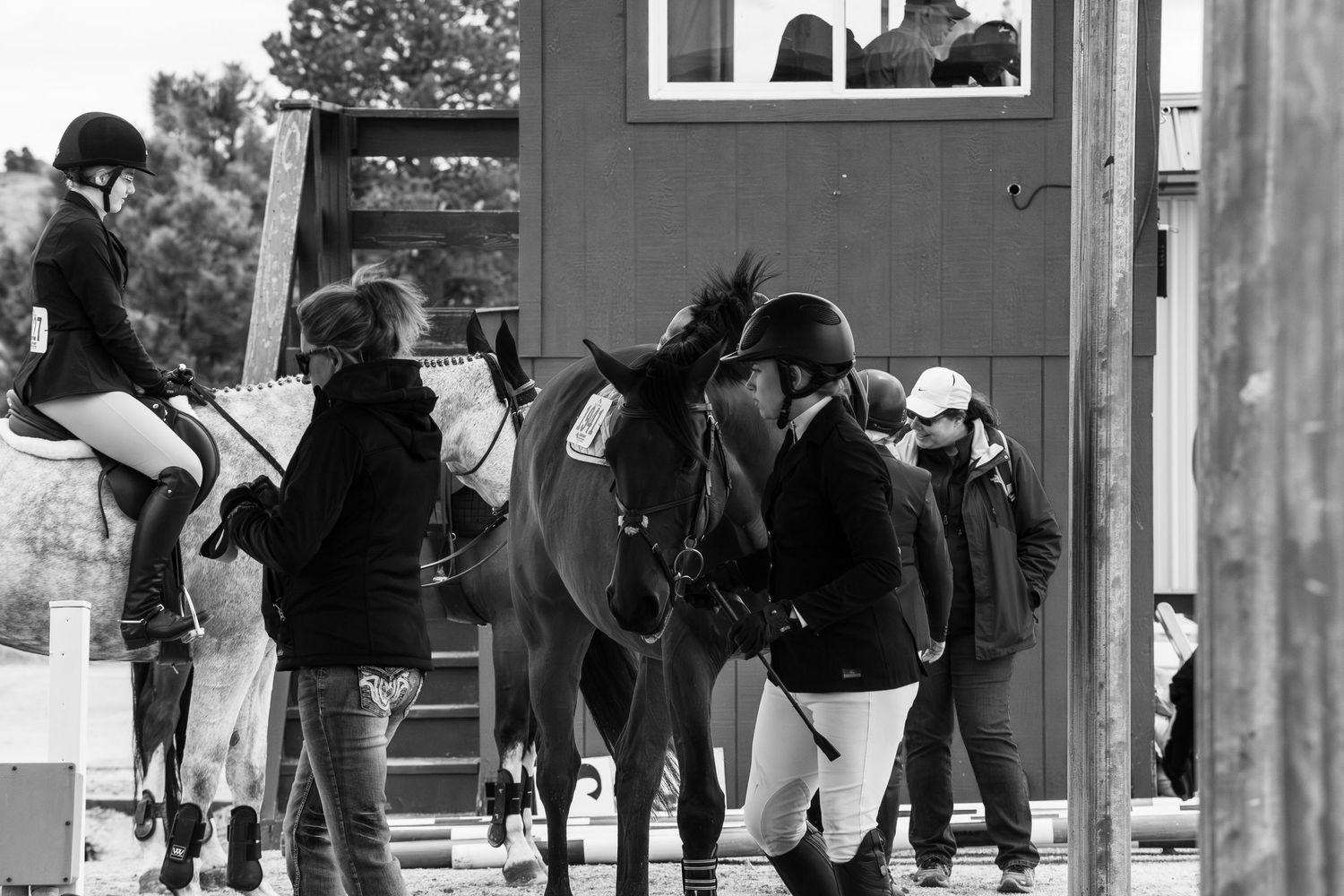 Black and white photo of equestrians preparing horses at a show jumping competition stable area.