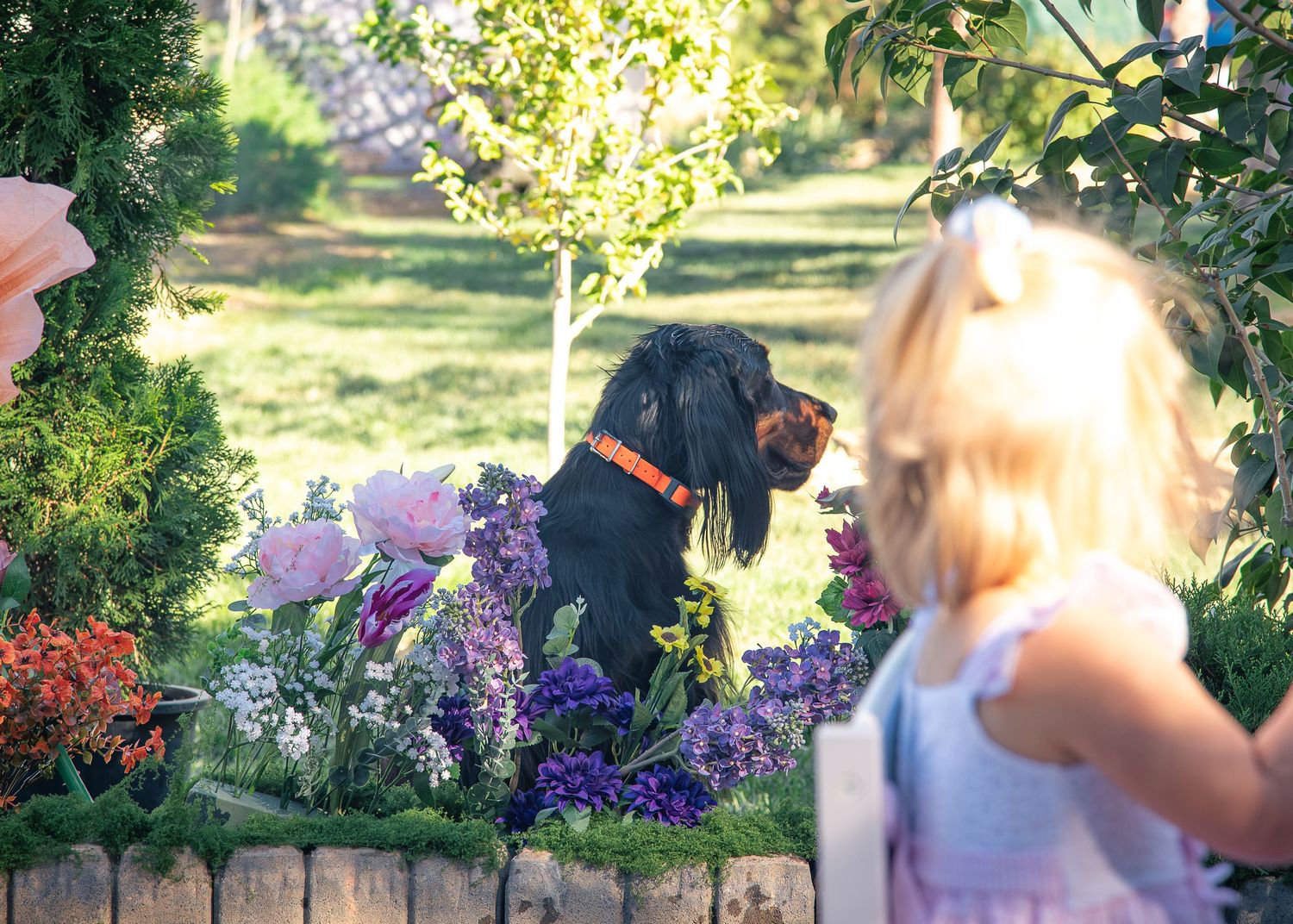 Young blonde girl in a lavender dress faces a black and tan dog with an orange collar beside blooming purple flowers in a sunny garden.