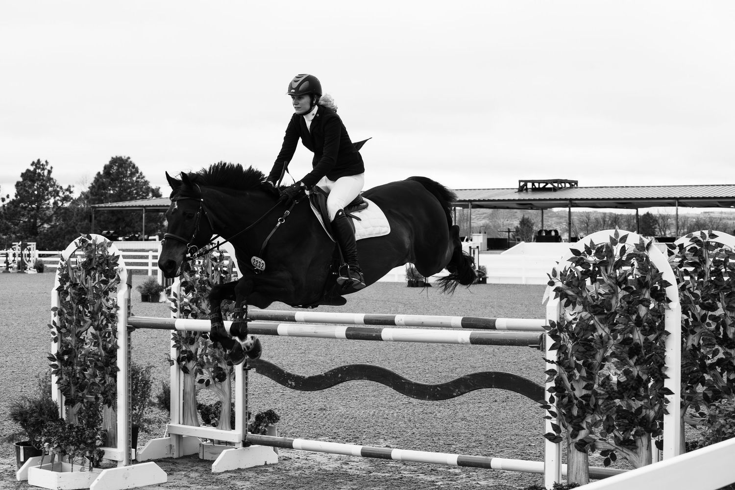 Black and white image of a horse and rider jumping over a striped barrier in competition.