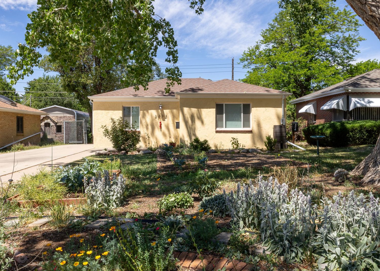 Yellow ranch home with drought-tolerant front yard garden, mature trees, and concrete driveway on a sunny day.
