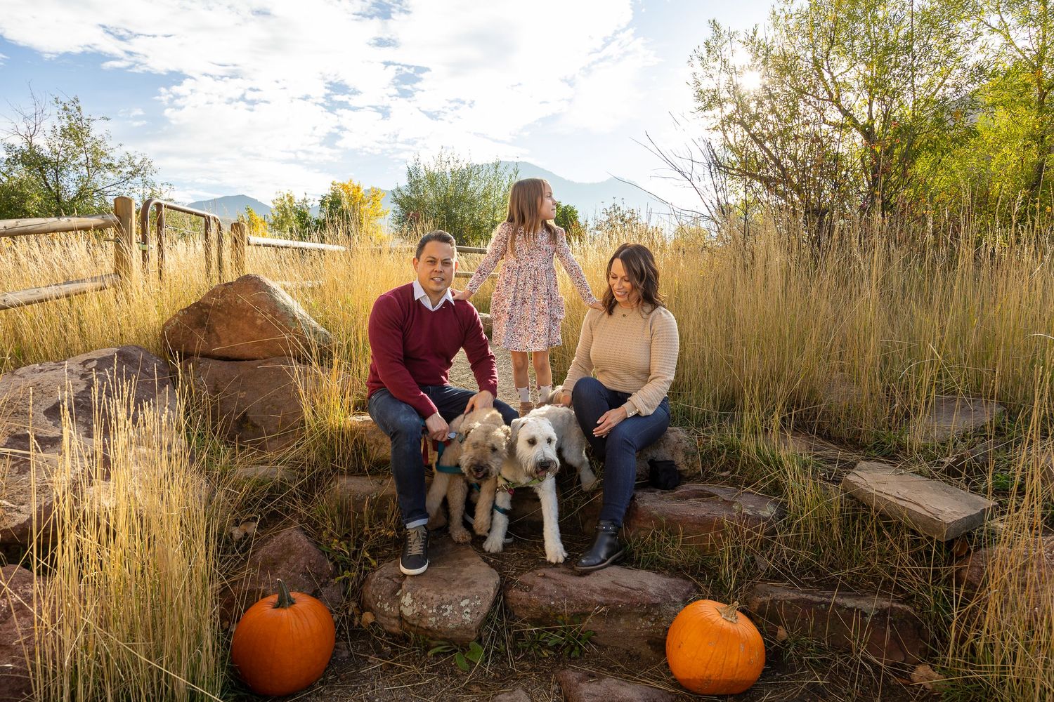 Family with two dogs and a child sitting on rocks surrounded by tall grass and pumpkins in an autumn outdoor setting.