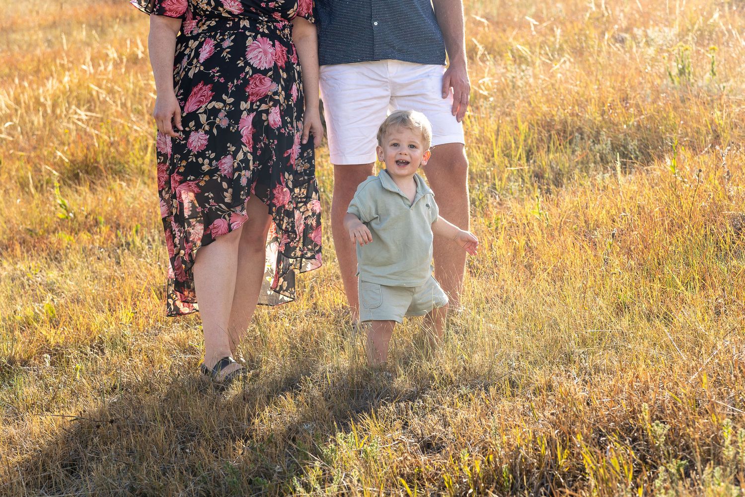 A happy toddler walks between parents in a sunny golden field, wearing a green outfit during a family photo session.
