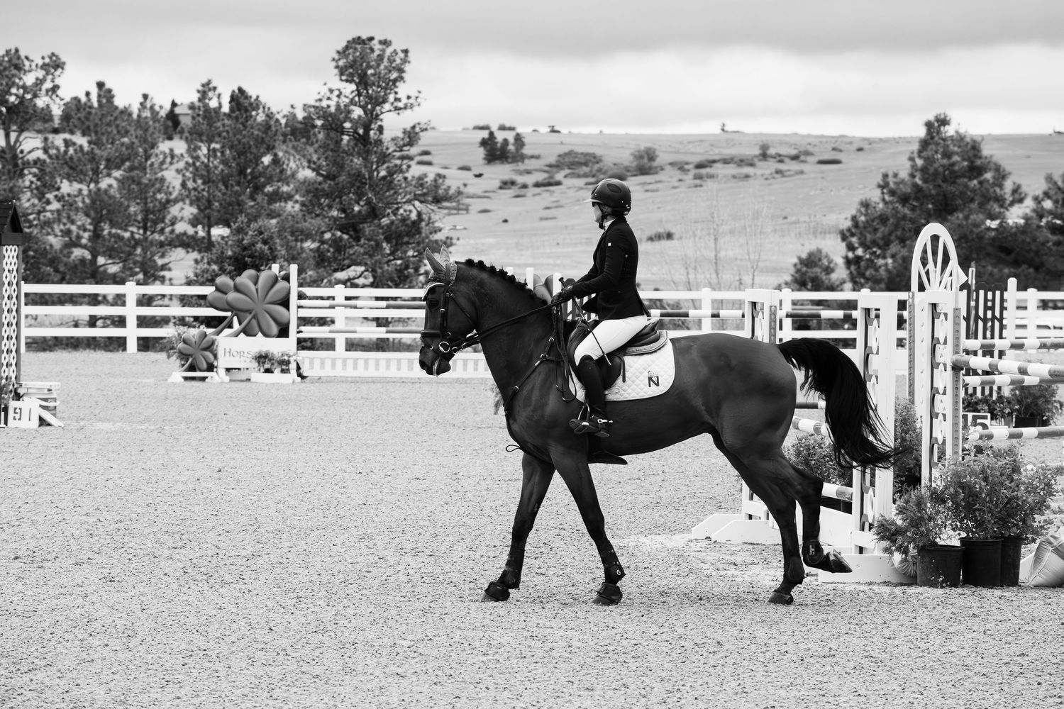 Black and white image of a rider on a dark horse trotting in an equestrian show jumping arena.