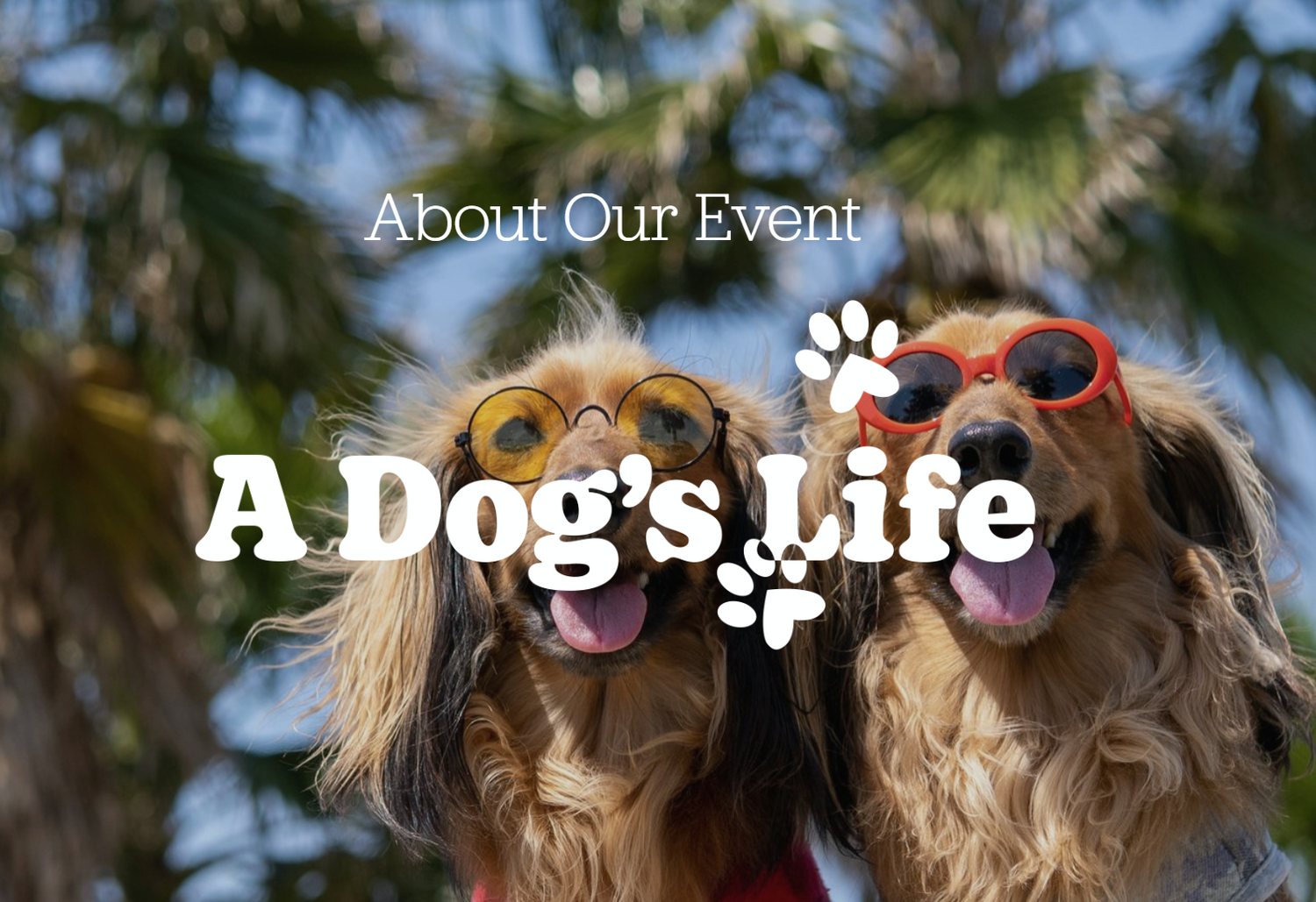 A Dogs Life Event