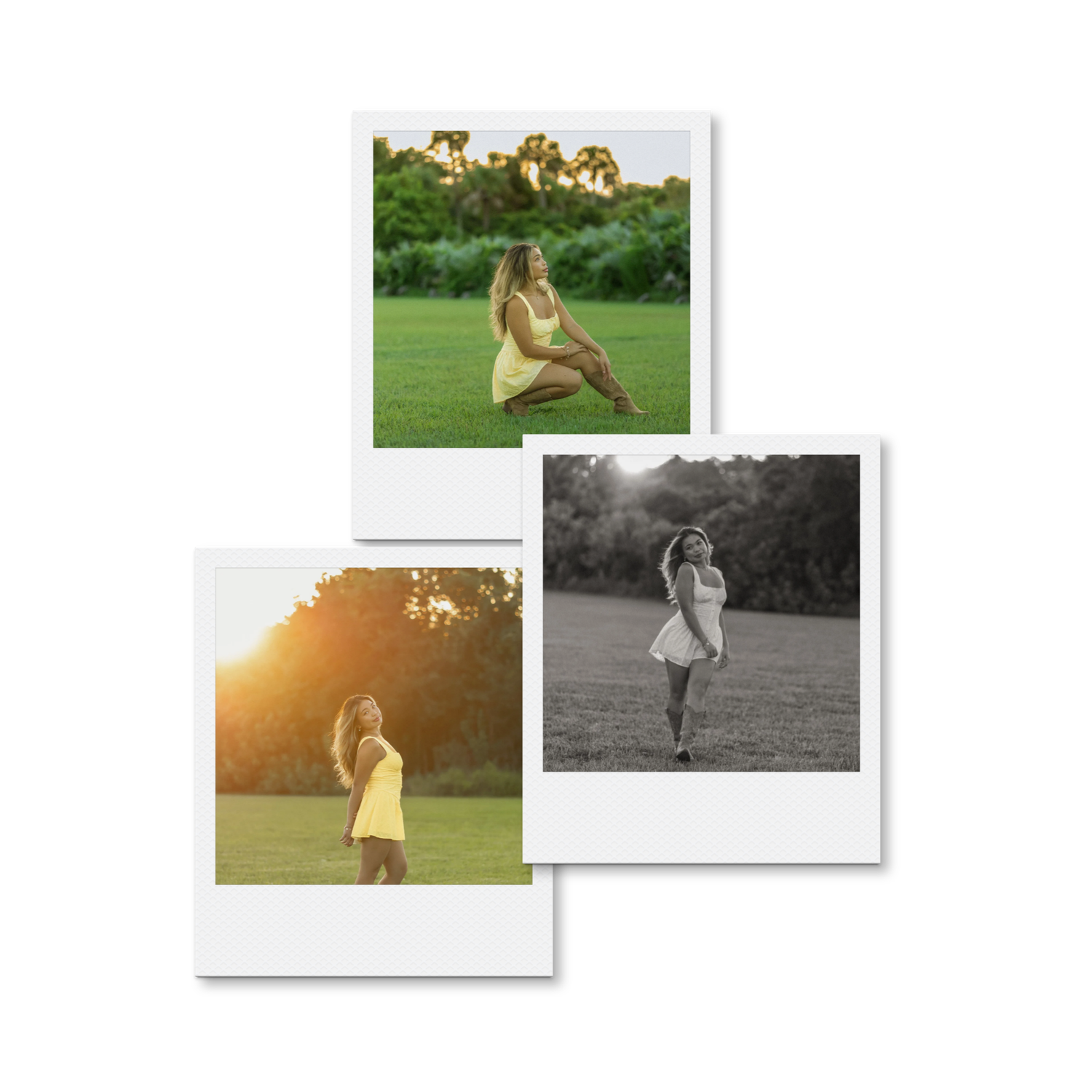 Collage a senior session