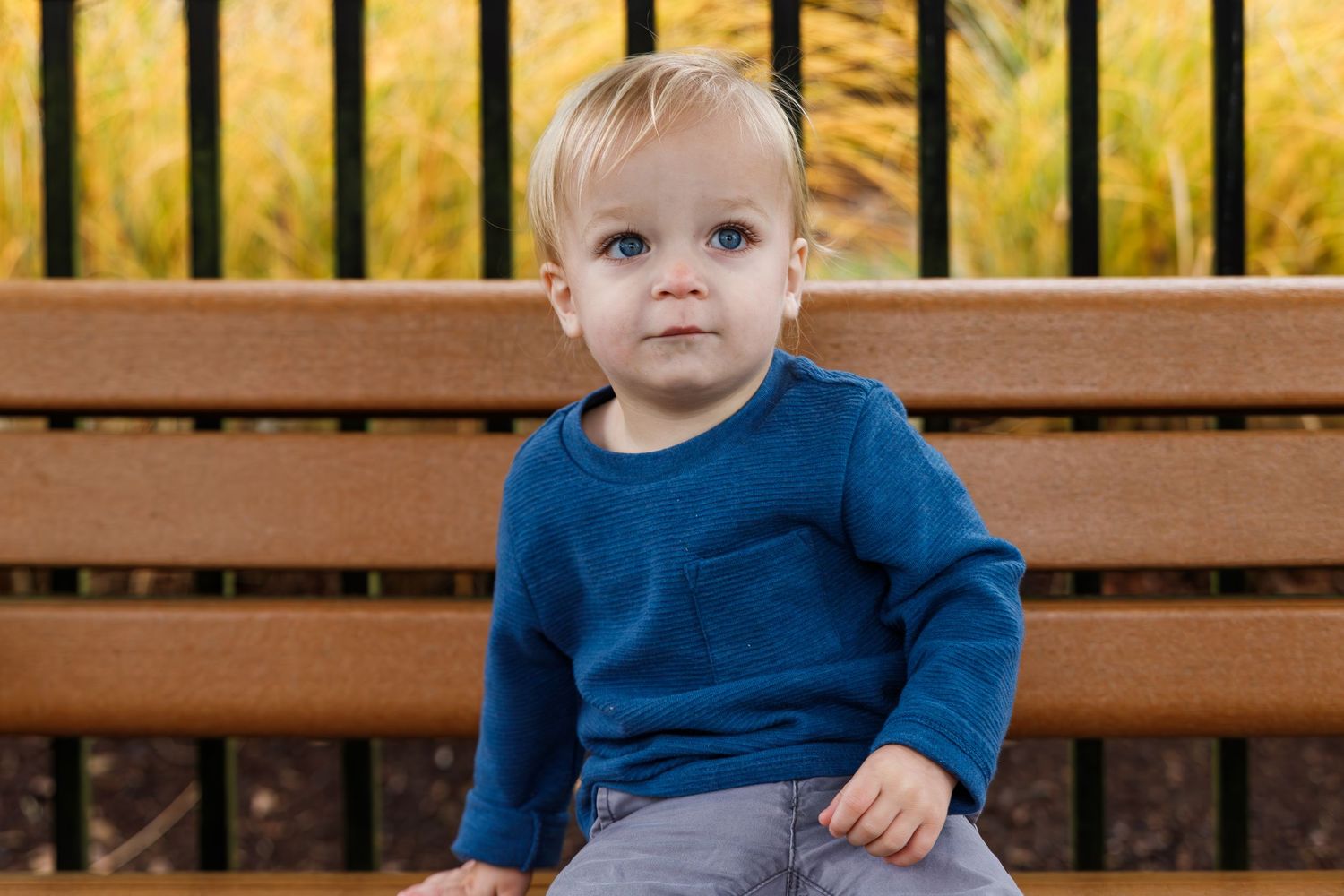 A toddler wearing a blue sweater sits on a wooden bench with a blurred yellow autumn background.