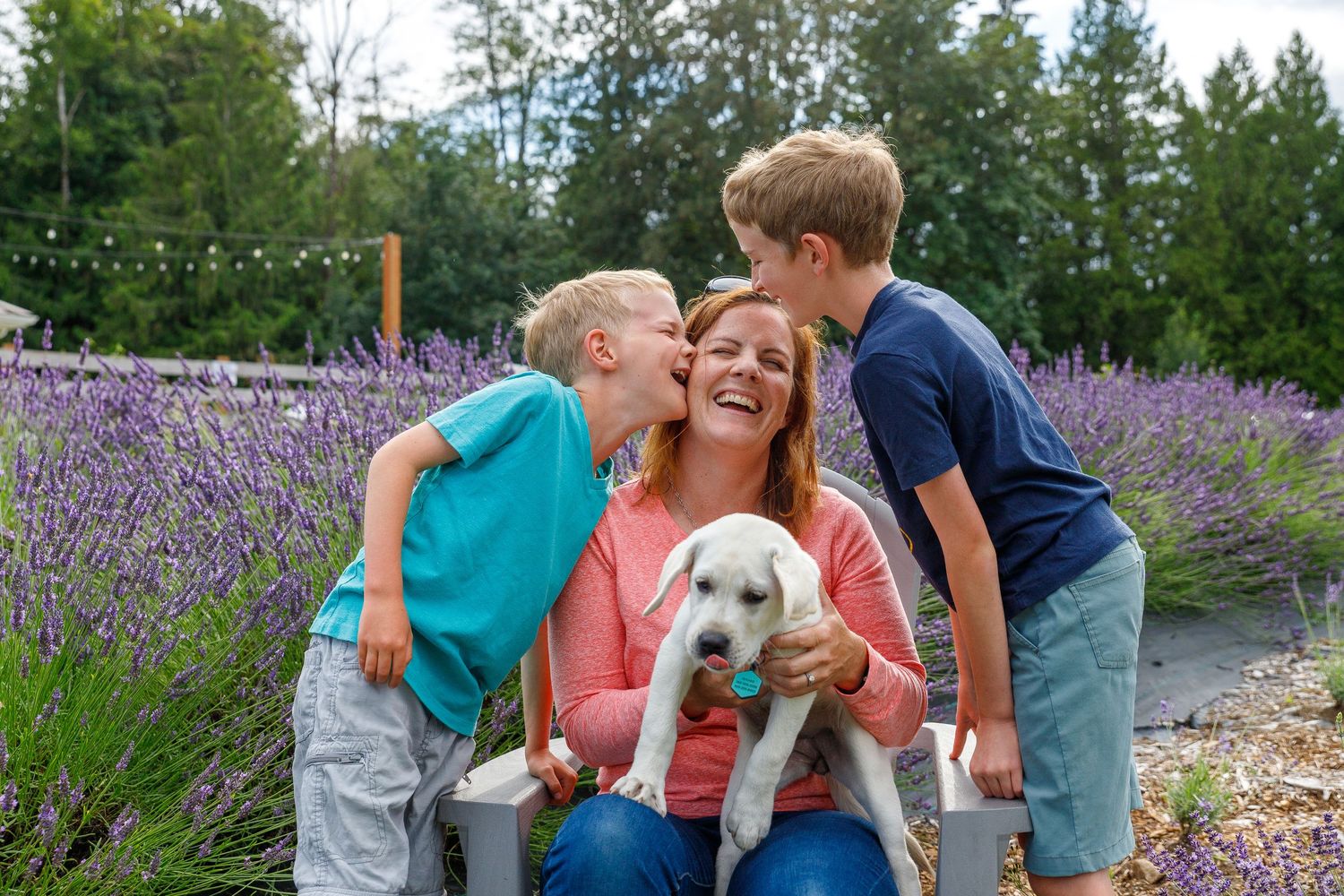 A joyful moment captured in a lavender field with a small white puppy and a coral-colored shirt against purple blooms.