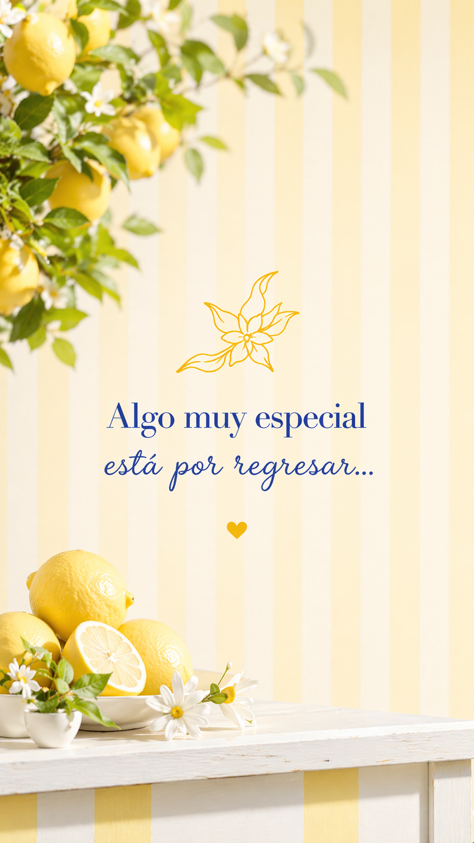 Yellow lemon tree and fresh lemons on white surface with striped background and Spanish text announcement.