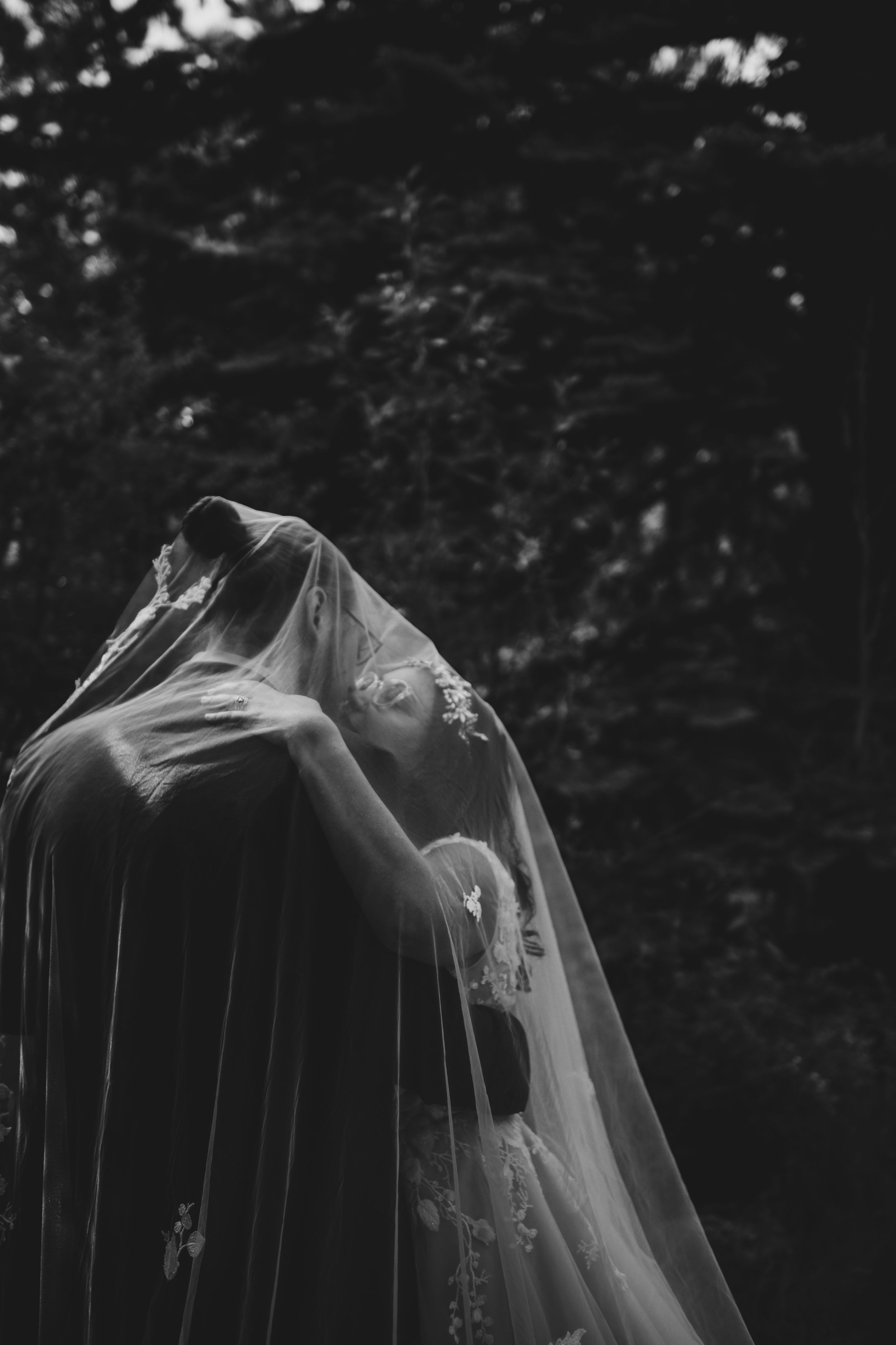 elopement-pricing-best-photographers-in-colorado-kelly-photo-design