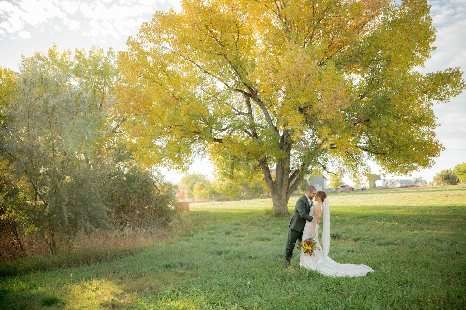 A couple embraces in a golden sunlit meadow surrounded by autumn trees during their outdoor wedding photoshoot.