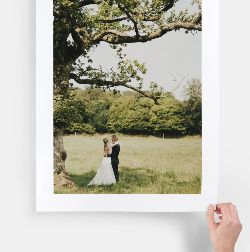 A couple embraces under a large tree branch in a serene meadow while someone holds a framed photo of the scene.