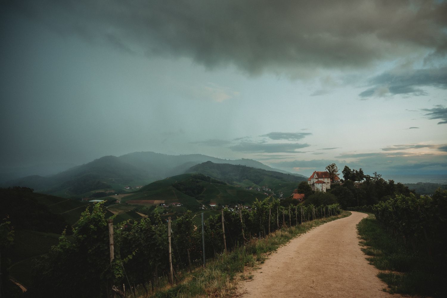 A winding dirt road through lush vineyards leads to a hilltop house under dramatic stormy skies in a mountain landscape.
