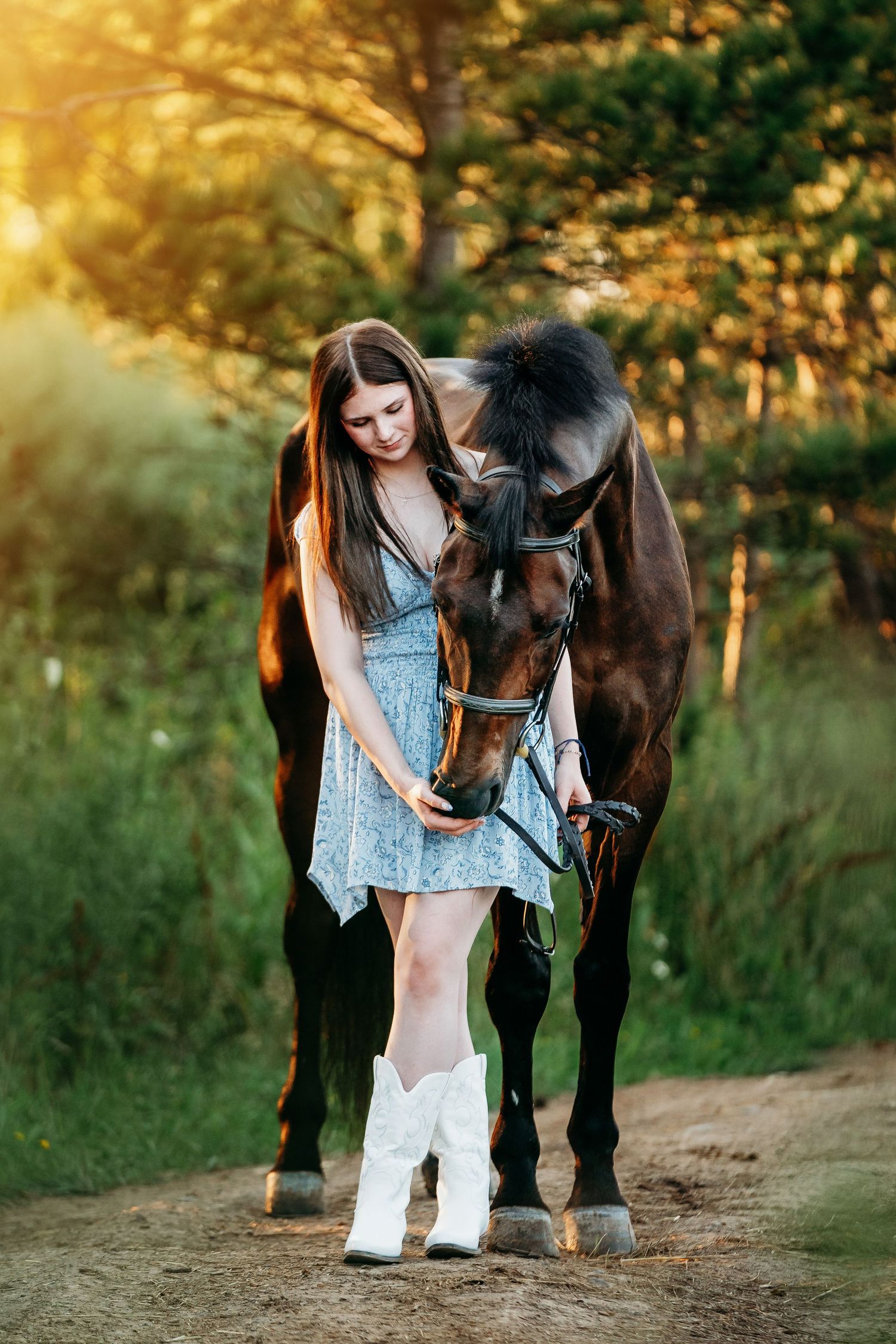 A beautiful brown horse and someone in a blue dress share a tender moment on a sunlit dirt path.