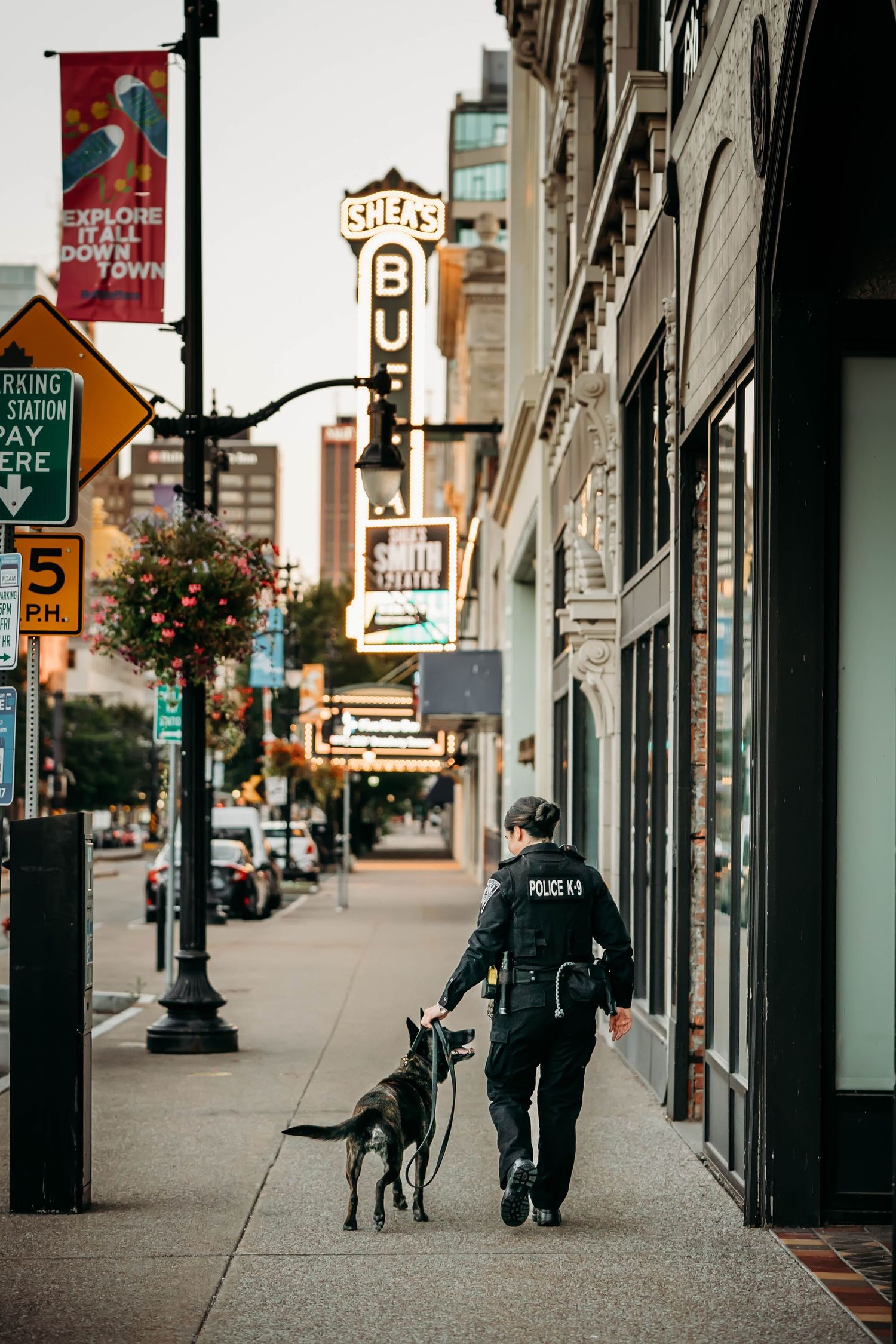 Person walking with dog on urban sidewalk past storefronts and street signs.
