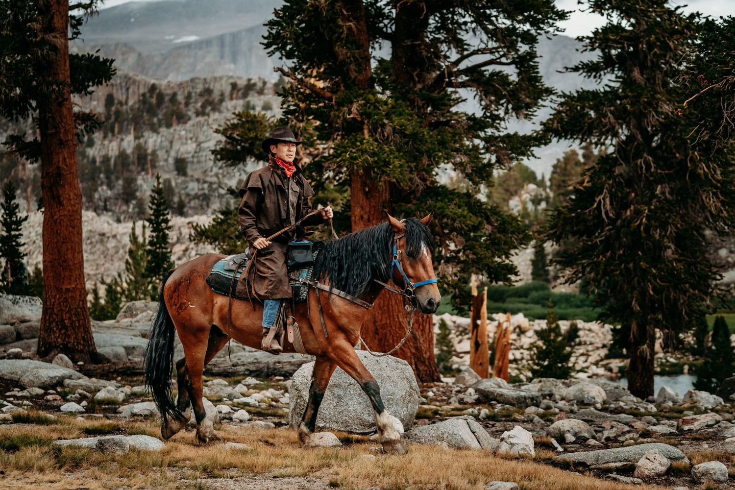 Cowboy riding a brown horse through rocky mountain terrain surrounded by tall pine trees and misty peaks.