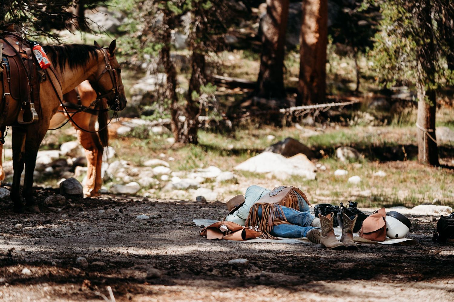 Camping gear and supplies scattered on ground in shaded forest clearing.