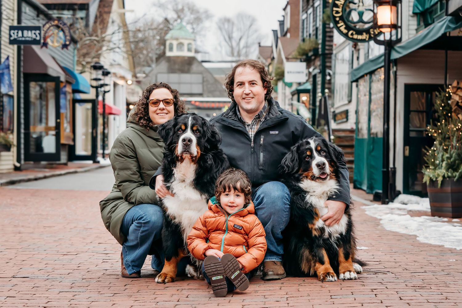 A group sitting with Bernese Mountain dogs on a brick sidewalk in a charming town setting.