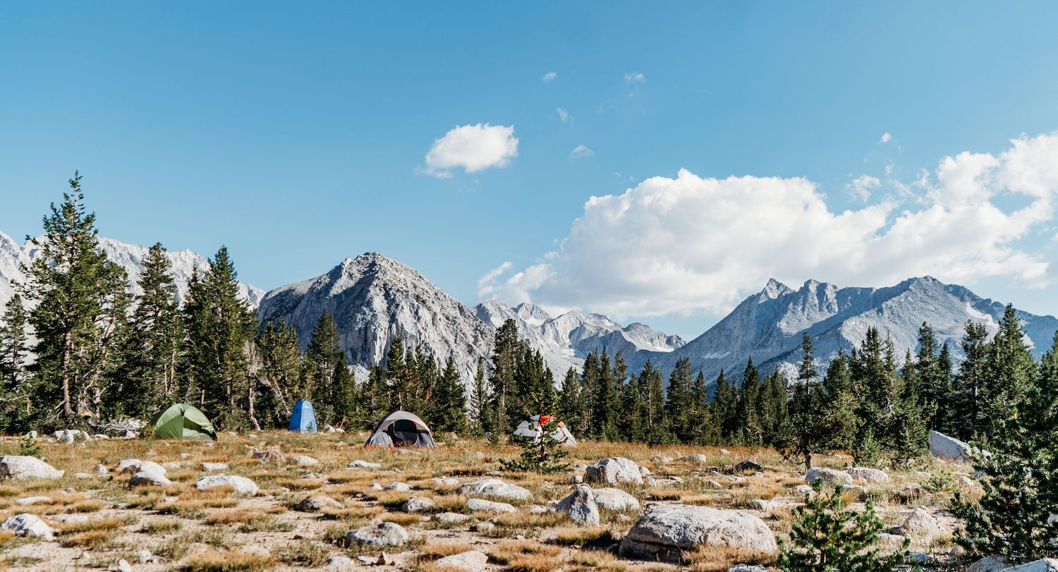 Panoramic view of snow-capped mountain peaks with evergreen forest and blue sky.