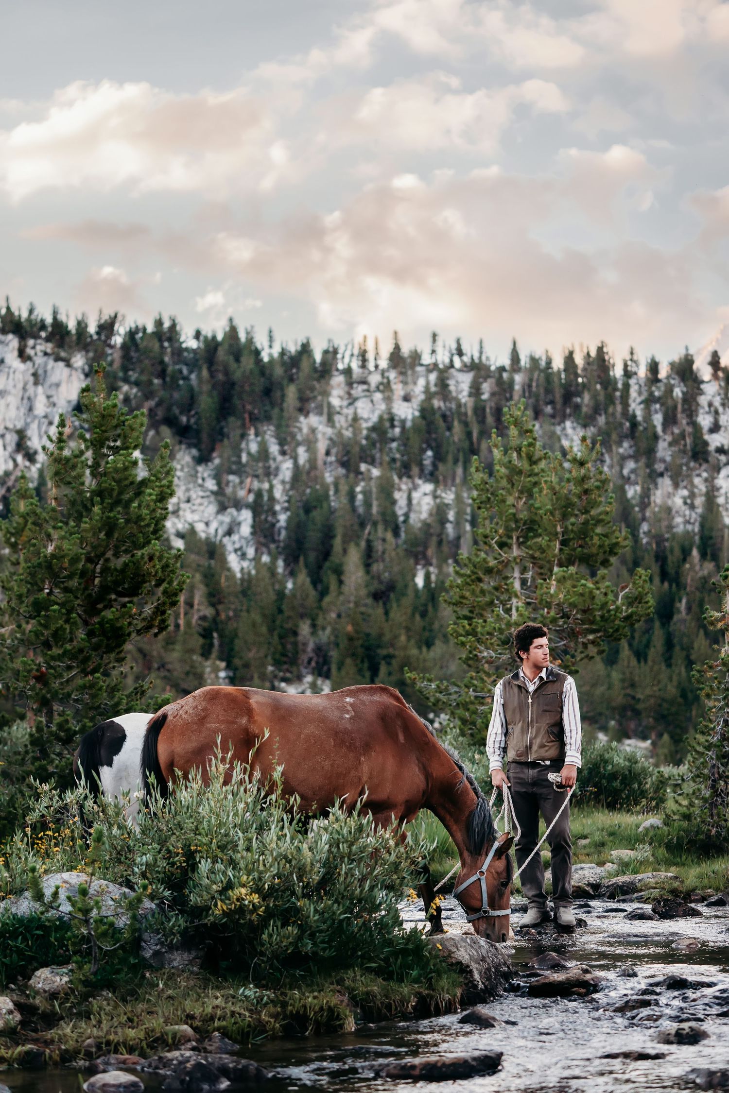 Horses drink from a crystal clear mountain stream while surrounded by evergreen trees and rocky slopes.