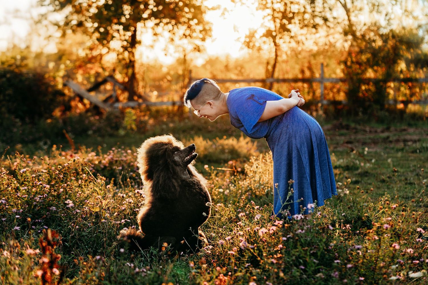 Golden sunset lighting illuminates pastoral scene with animals in field.
