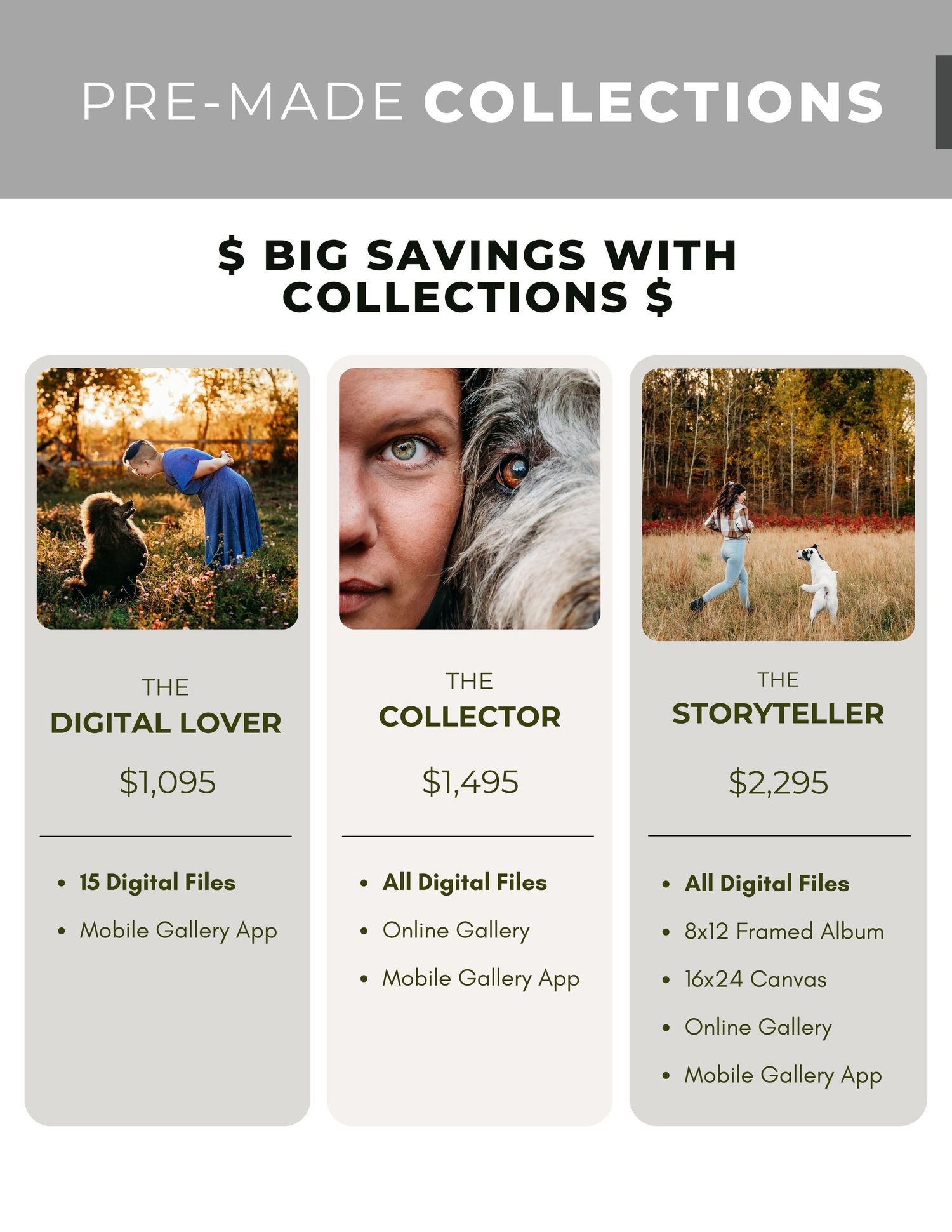 A photography website pricing page showing three collection tiers with digital files and mobile gallery app features.